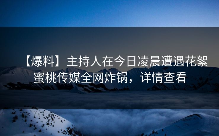 【爆料】主持人在今日凌晨遭遇花絮蜜桃传媒全网炸锅，详情查看