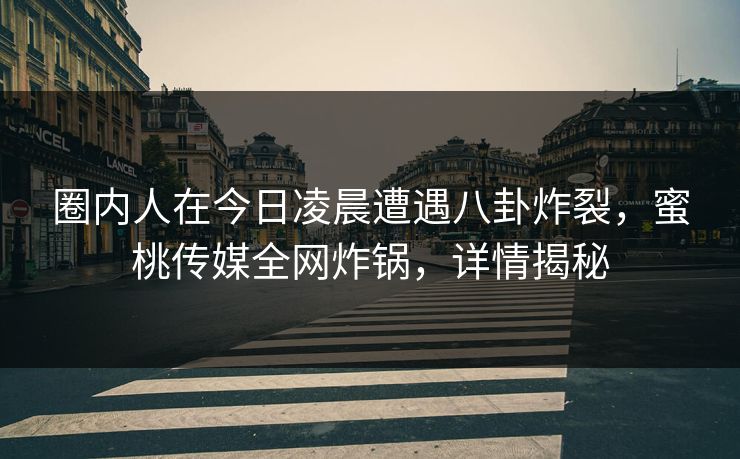 圈内人在今日凌晨遭遇八卦炸裂，蜜桃传媒全网炸锅，详情揭秘