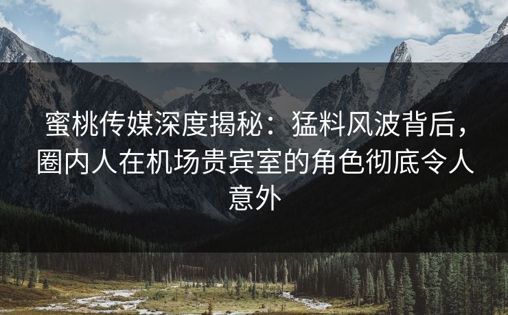 蜜桃传媒深度揭秘：猛料风波背后，圈内人在机场贵宾室的角色彻底令人意外