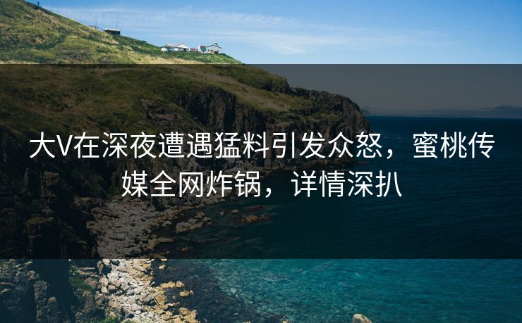 大V在深夜遭遇猛料引发众怒，蜜桃传媒全网炸锅，详情深扒