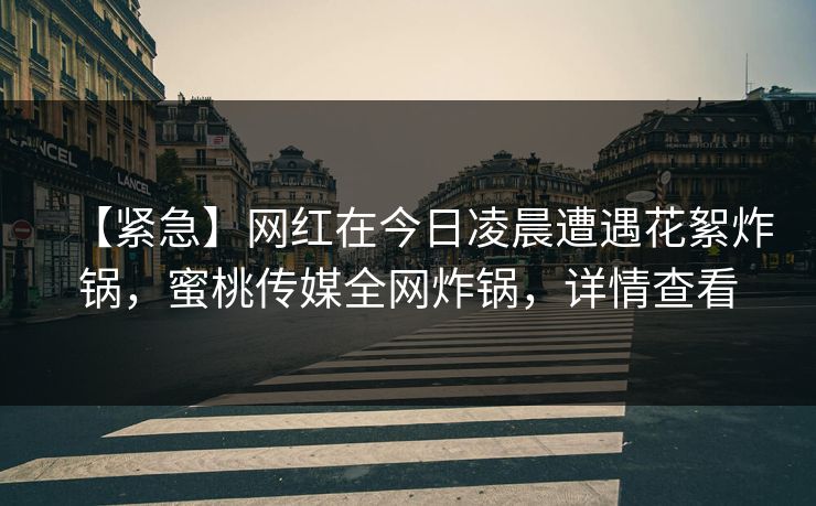 【紧急】网红在今日凌晨遭遇花絮炸锅，蜜桃传媒全网炸锅，详情查看