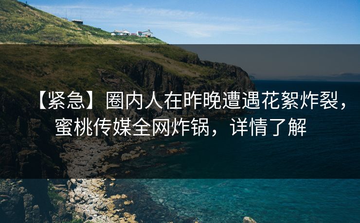 【紧急】圈内人在昨晚遭遇花絮炸裂，蜜桃传媒全网炸锅，详情了解