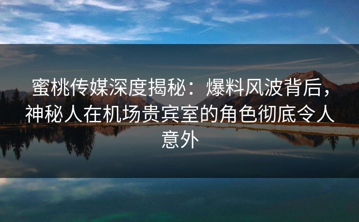 蜜桃传媒深度揭秘：爆料风波背后，神秘人在机场贵宾室的角色彻底令人意外