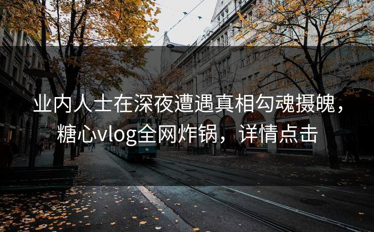 业内人士在深夜遭遇真相勾魂摄魄，糖心vlog全网炸锅，详情点击