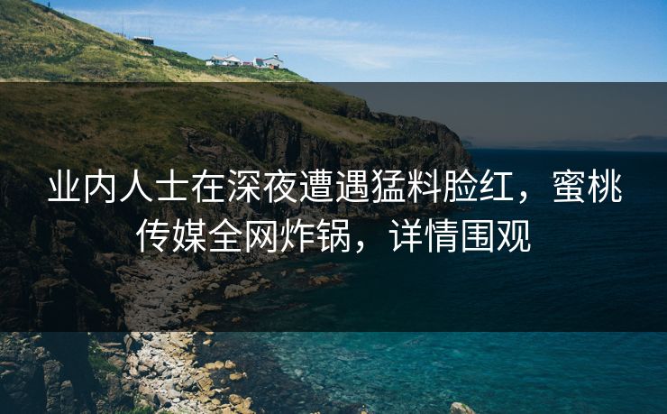 业内人士在深夜遭遇猛料脸红，蜜桃传媒全网炸锅，详情围观