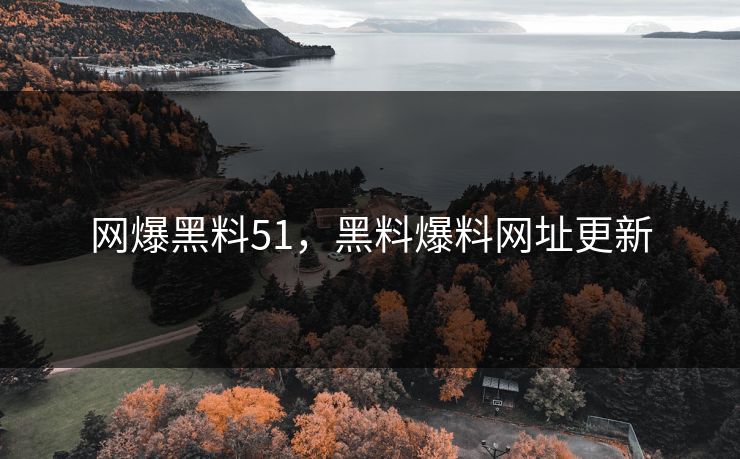 网爆黑料51，黑料爆料网址更新
