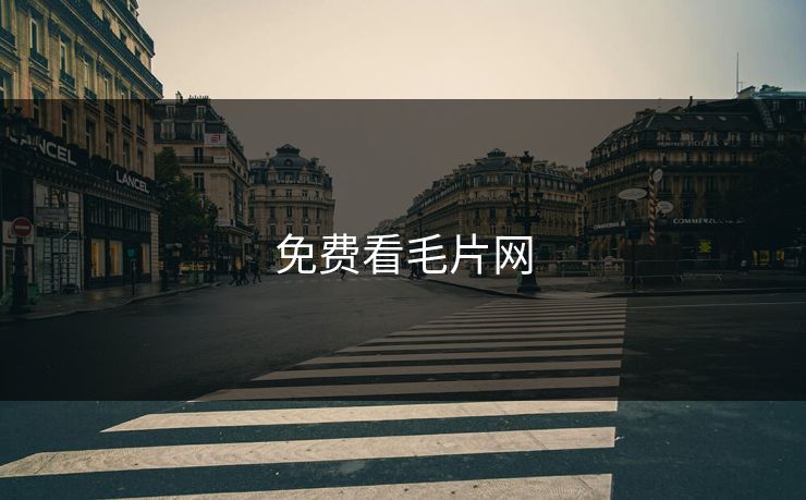 免费看毛片网