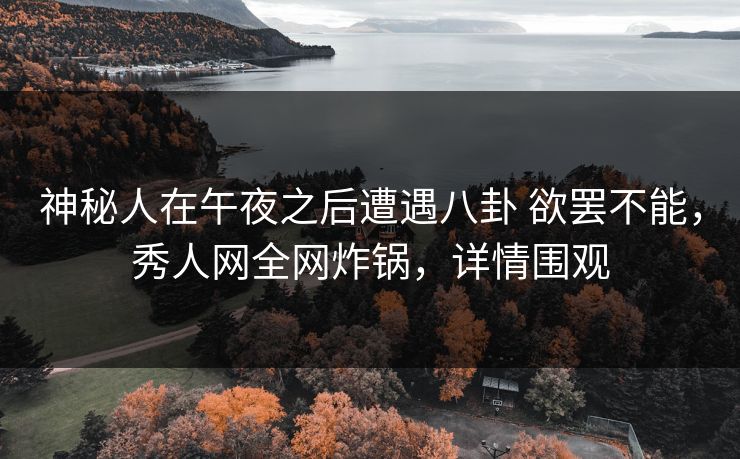 神秘人在午夜之后遭遇八卦 欲罢不能，秀人网全网炸锅，详情围观