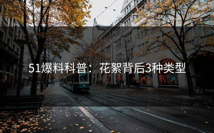 51爆料科普：花絮背后3种类型