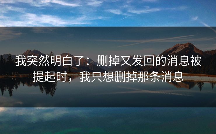 我突然明白了：删掉又发回的消息被提起时，我只想删掉那条消息