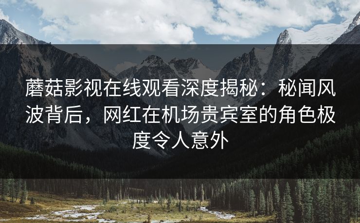 蘑菇影视在线观看深度揭秘：秘闻风波背后，网红在机场贵宾室的角色极度令人意外