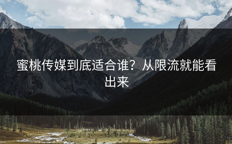 蜜桃传媒到底适合谁？从限流就能看出来