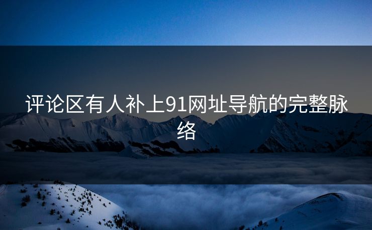 评论区有人补上91网址导航的完整脉络
